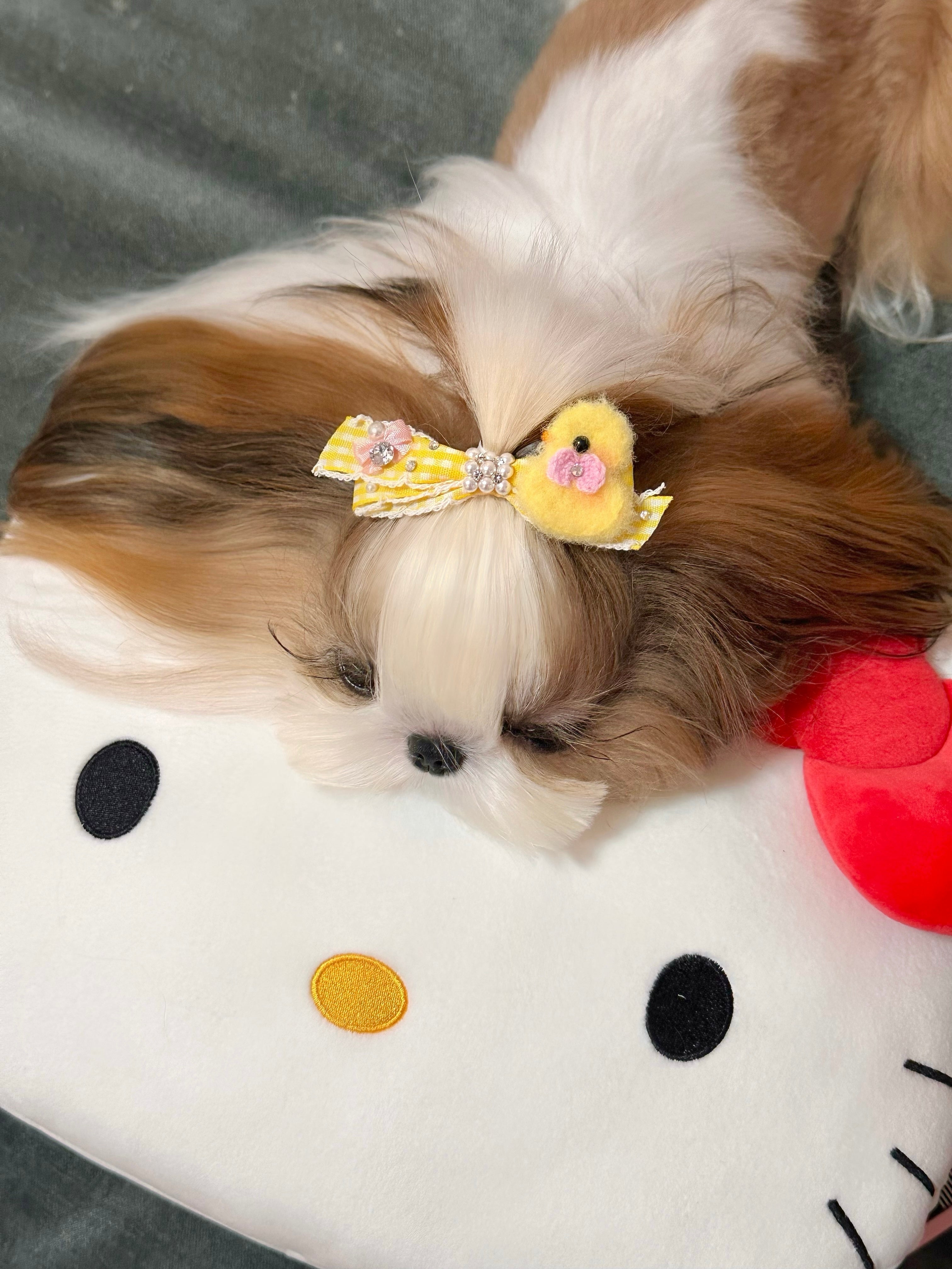 Everyday Cute top clip