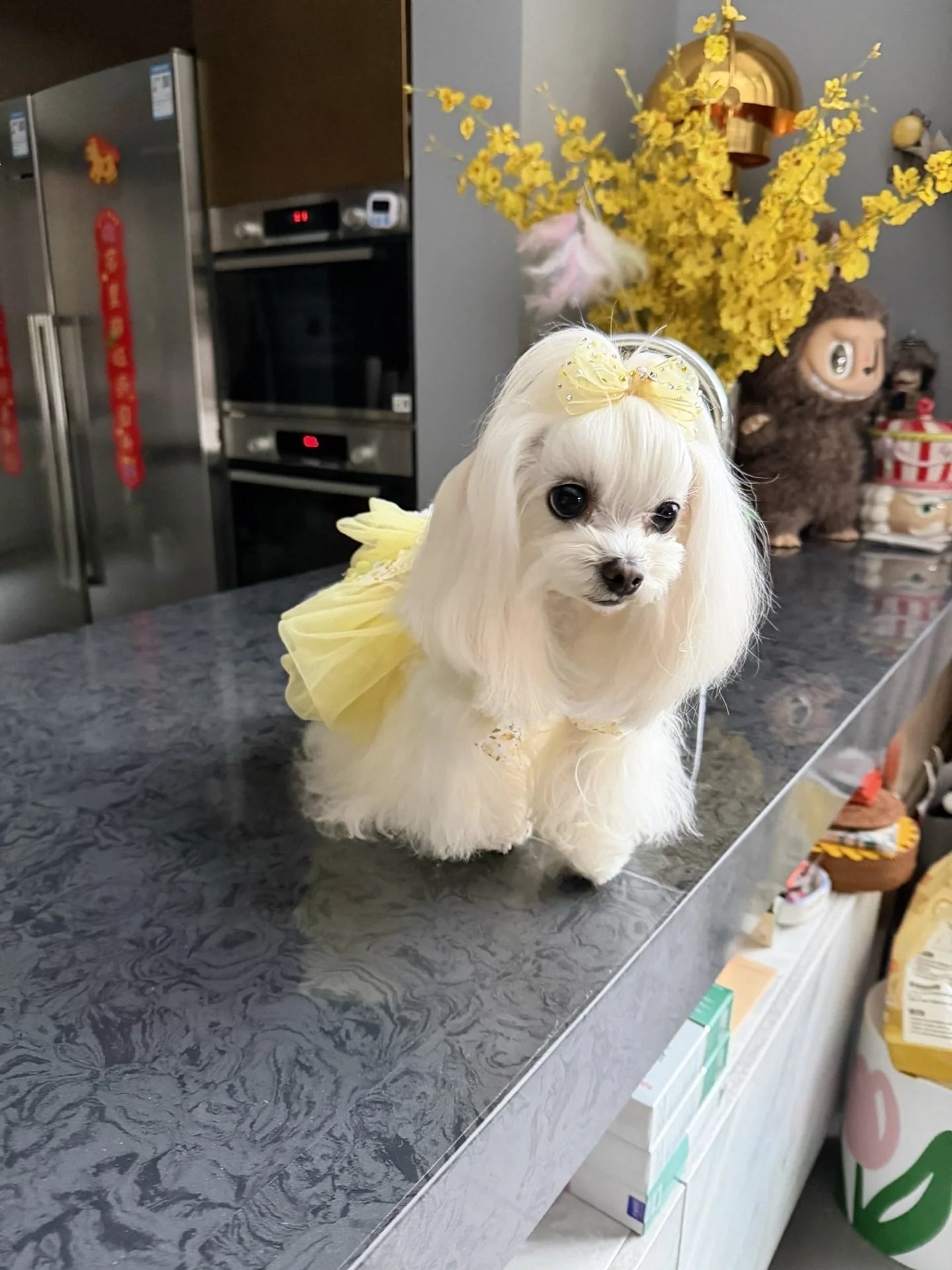 Tinselpaw Triple-Layered Silky Gauze Bow with Shimmering Crystals & Elegant Pearls for Dogs & Cats