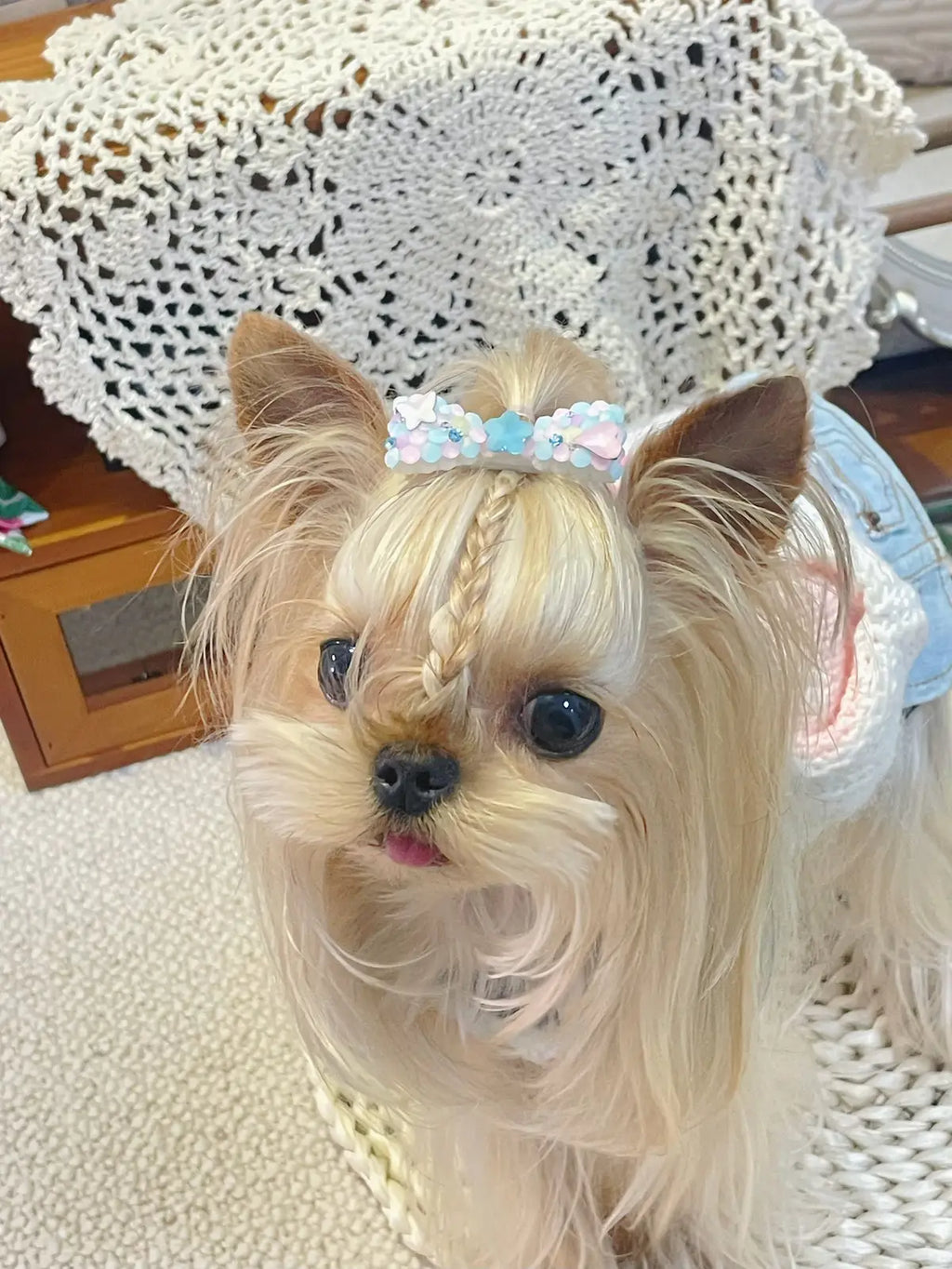 Macaron Dream | Artisan Hand-Crafted Candy-Beaded Top-Knot Clip
