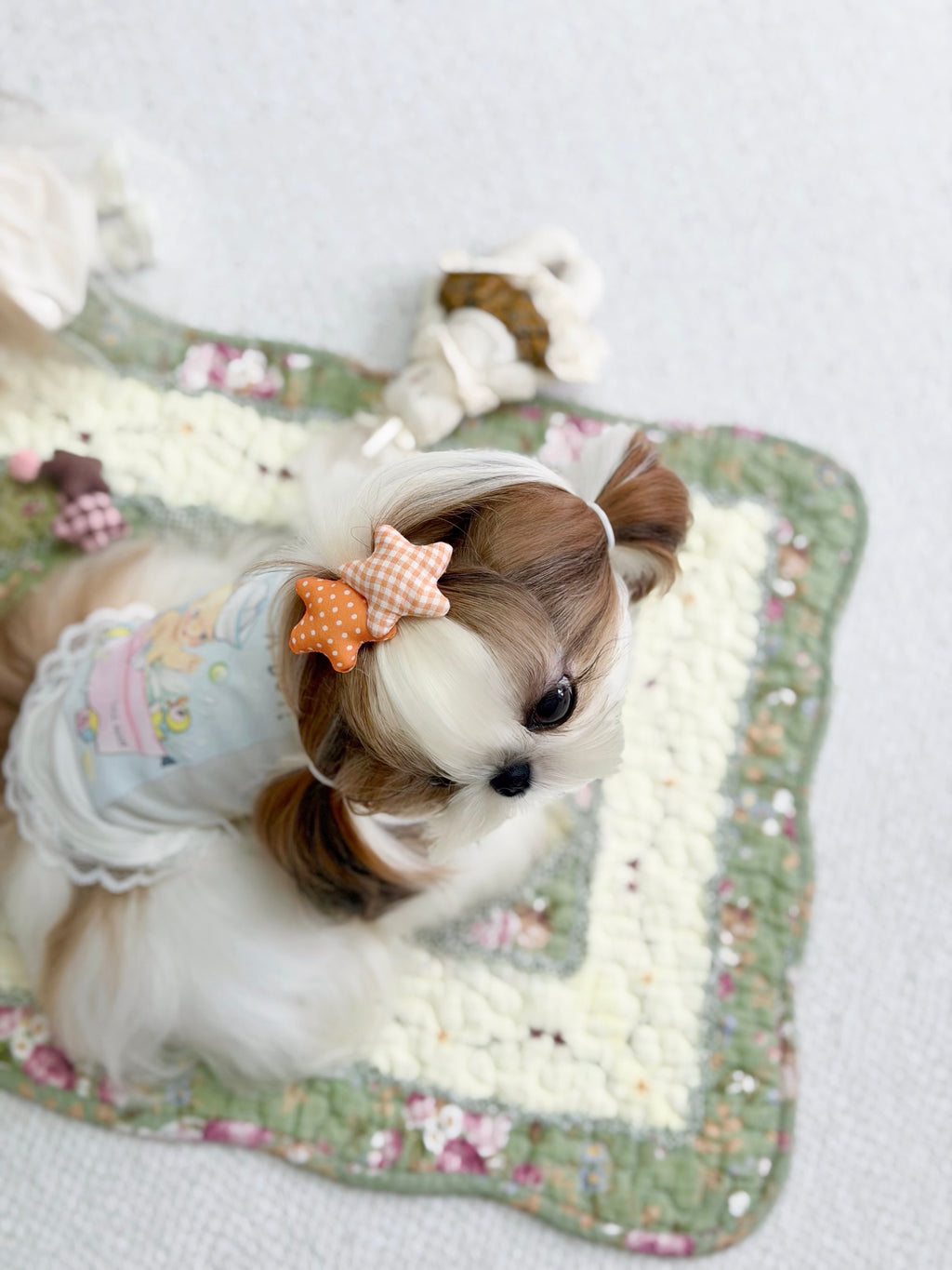 A Tinselpaw 100% Handmade Artisan Gingham Dog Bows | Twin-Star Non-Slip Boutique Hair Clips 🎀✨