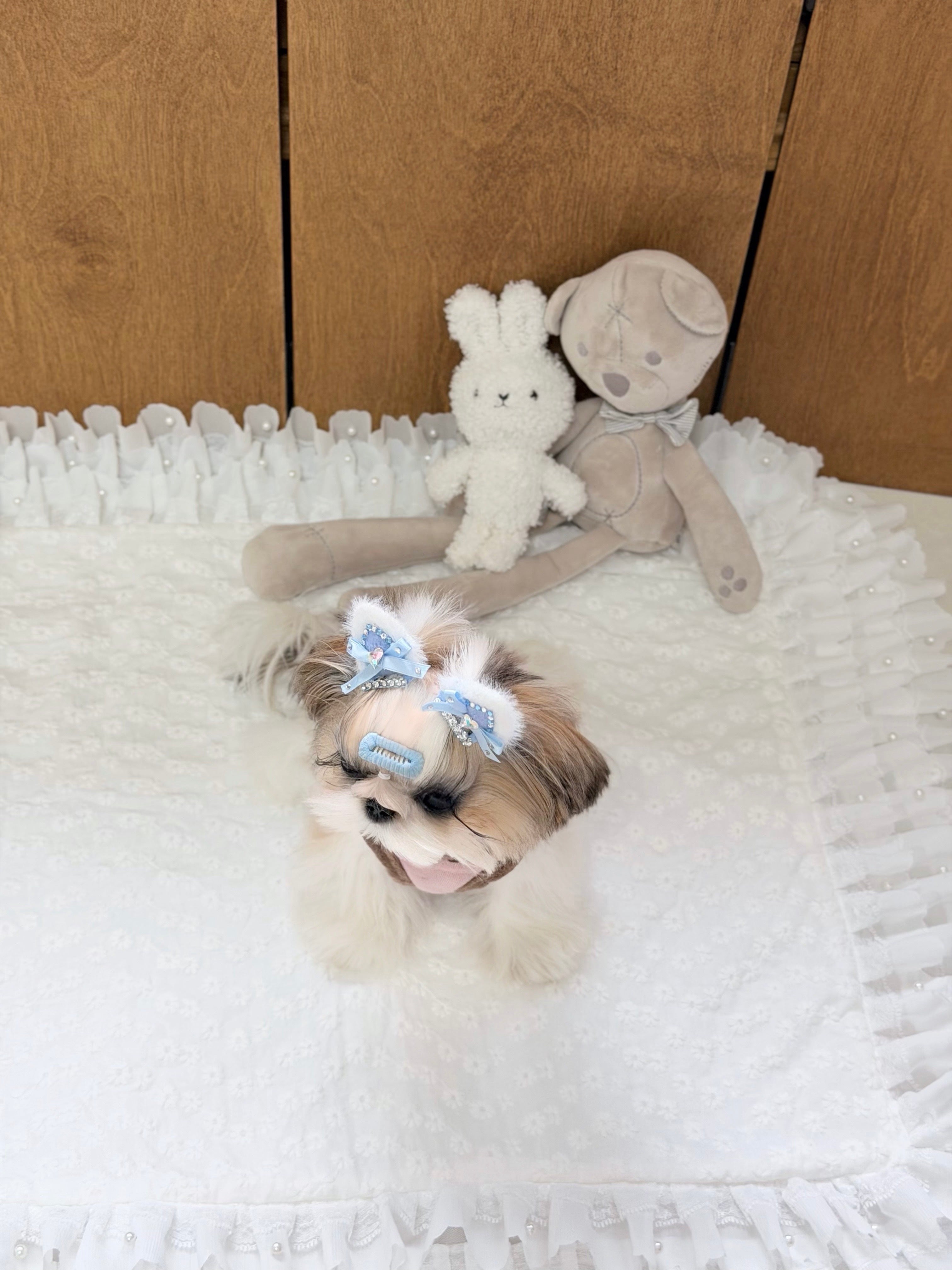 Tinselpaw 100% Handmade Artisan Gingham Dog Bows | 5A Crystal Boutique Non-Slip Pet Clips 🎀💎